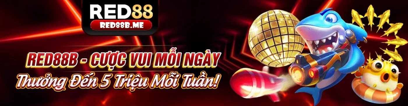 Giao diện ứng dụng 2899u trên điện thoại di động